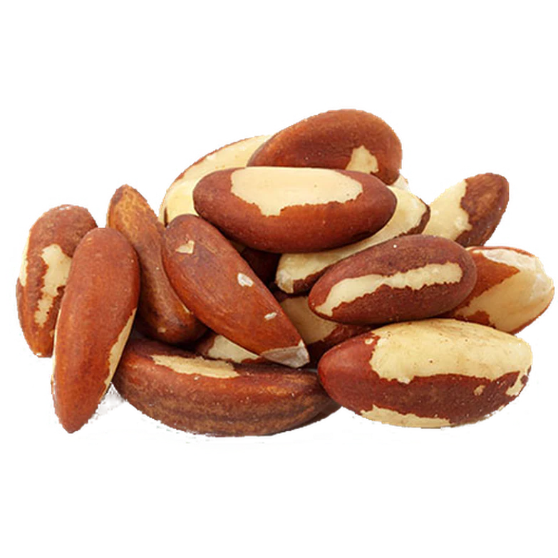 Brazil Nut