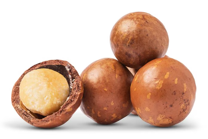 Macadamia Nuts