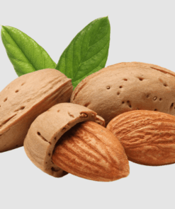 Almond Nut