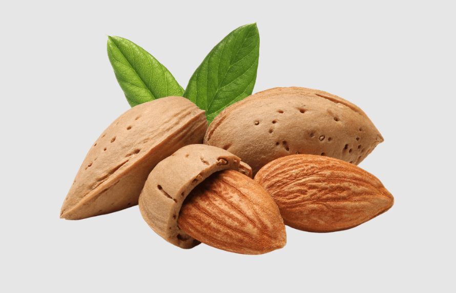 Almond Nut